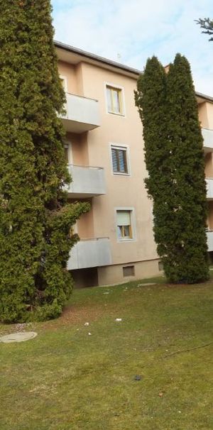 8435 Wagna - Föhrenbaumstraße 3/3 - Foto 1