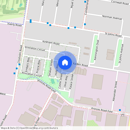 46 Raglan Road, NSW 2144, Auburn