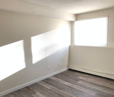 2 Weeks Free! Spacious 3-Bedroom Living, Tucked Away in Nature! - Photo 4