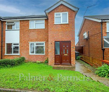 3 bedroom semi-detached house to rent - Photo 5