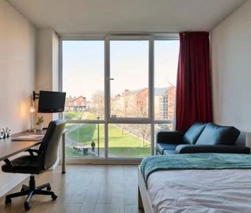 Studio Gold - Photo 6