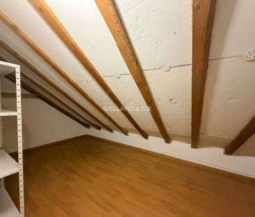 Magnifique loft au centre de Pully en attique - Photo 5