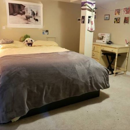 Large 2 Bedroom + In-Suite Laundry -Oct. 1st - Photo 4