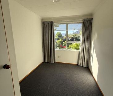 Sunny Family Home in Renwick - Photo 4