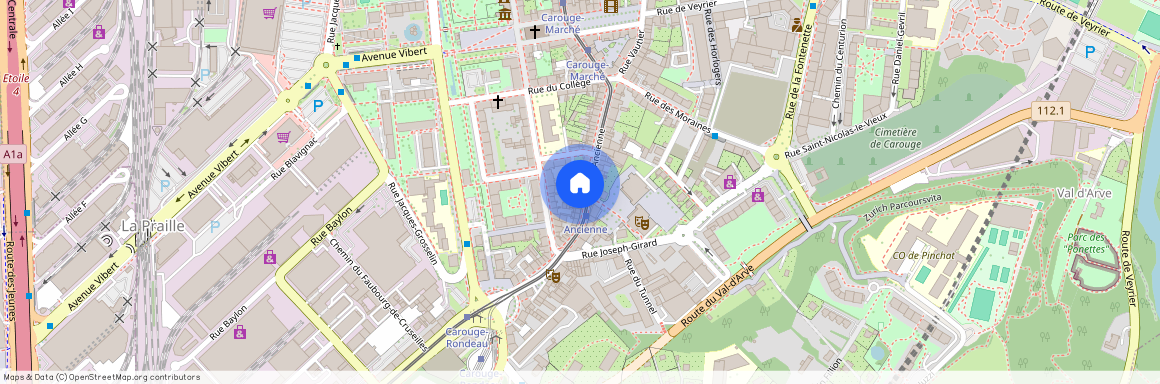 Rue Ancienne 46, 1227 Carouge