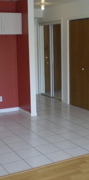 1 1/2, 3e étage, ascenseur piscine quiétude, vue cour arrière - Photo 1