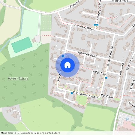 Beechtree Avenue, Englefield Green, Egham, Surrey, TW20 0TD