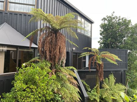 NEW HOME FOR THE NEW YEAR - Photo 4