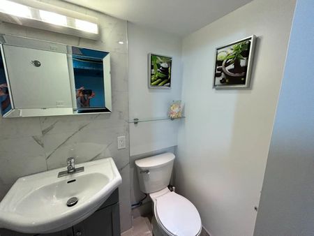 For Lease - 7 Ashmore Avenue Unit# Lower, Toronto, Ontario - Photo 5