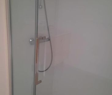 Louer colocation 1 pièce de 25 m² - Photo 3