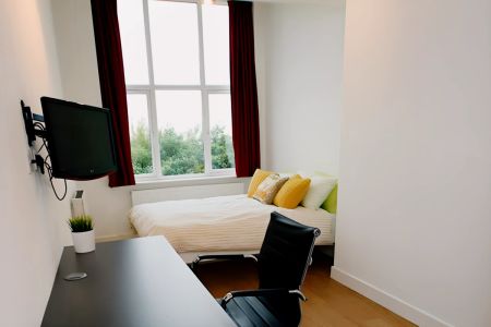 Gold Large Courtyard Studio, Floors 1-5 - Photo 3