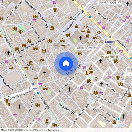 Carrer de l'Arc de Sant Ramon del Call, Barcelona, Catalonia 08002