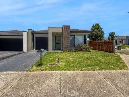 25 Jobbins Street, North Geelong - Photo 3