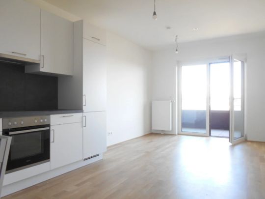 Q5 am PARK großartiger Ausblick 2ZI mit 12m² Ost/ Balkon - Foto 1