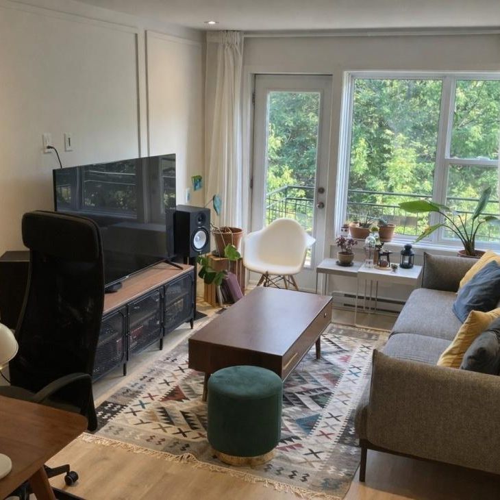 Appartement à louer - Montréal (Le Sud-Ouest) (Pointe-Saint-Charles) - Photo 1