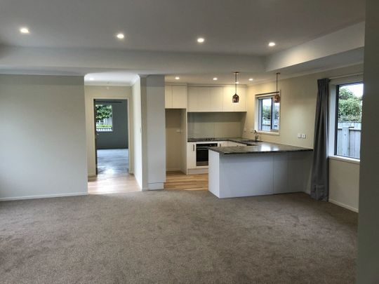 56B Roy Street, Palmerston Nth City, Palmerston North - Photo 1