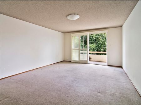 1/42 Archer Street, Chatswood NSW 2067 - Apartment For Rent | Domain - Photo 4