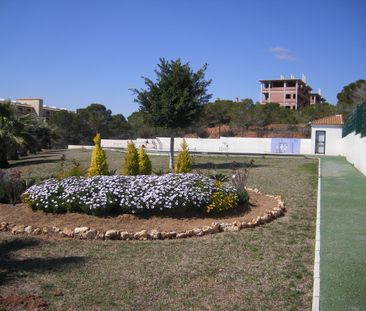 16 Oasis Golf – Id. 131 - Photo 4