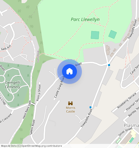 Cnap Llwyd Road, Morriston, SA6