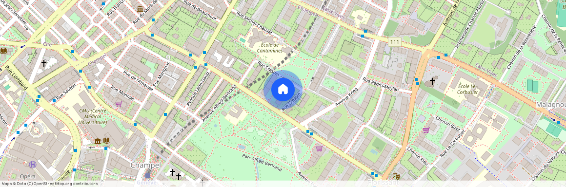 Rue Crespin 18, 1206 GENEVE