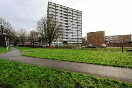 Roggekamp 2592 VT 's-Gravenhage - Photo 5