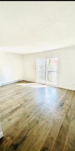 *Chien accepter appartement 4-1/2 - Photo 4