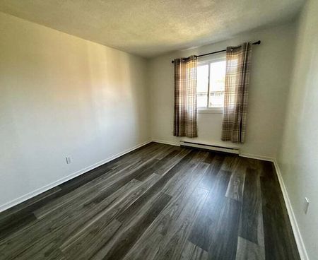 5 Banner Rd, Briar Green - Leslie Park, Ottawa, ON - Photo 4