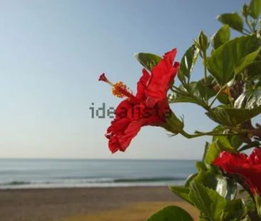 Alquiler de casa o chalet independiente en Paseo del Mediterráneo, 72 - Foto 1