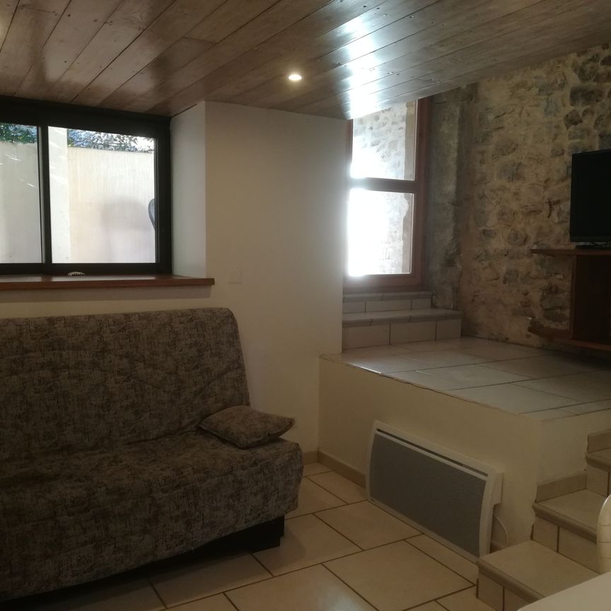 Location Appartement 1 pièce 36m² ST BAUZILLE DE LA SYLVE 34230 - Photo 1