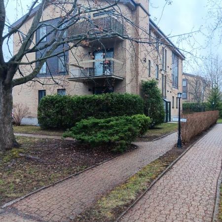 Beau et grand 5 ½ à louer dans St-Bruno avec 2 stationnements - Photo 4