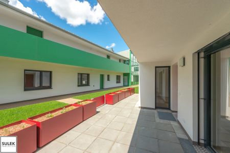 Helle 2-Zimmer Wohnung mit Terrasse im Projekt Wallner-Hof // ab 1.12. verfügbar! - Photo 2