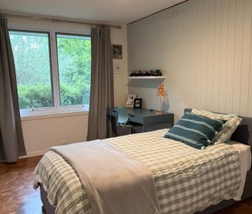 39 Carruthers Street, Curtin ACT 2605 - House For Rent | Domain - Photo 4