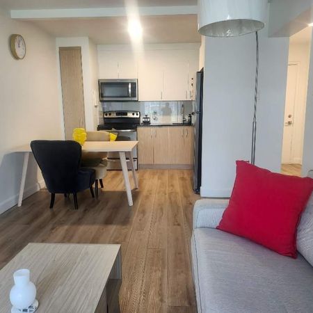 Cession de bail a court terme incluant le mois décembre gratuit. - Photo 4