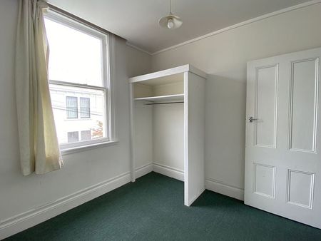 Sunny 4 bedroom apartment in Mt Vic - Photo 3