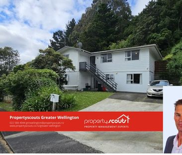Renovated 4 bedroom home in Paraparaumu - Photo 2