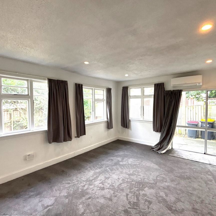 113c Ruskin Street, Addington, NZ 8041 - Photo 1