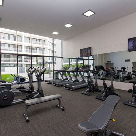 291/1 Mouat Street, Lyneham ACT 2602 - Apartment For Rent | Domain - Photo 5