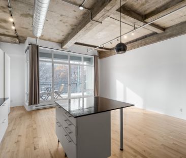 4225 Rue St-Dominique, #307 - Photo 2