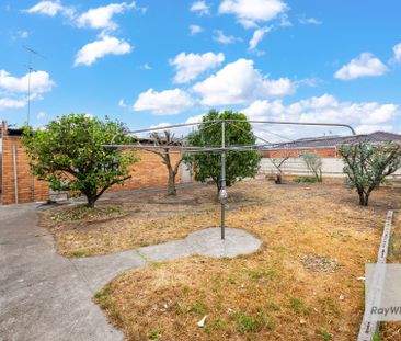 Everybody Loves 20 Raymond! - Photo 1