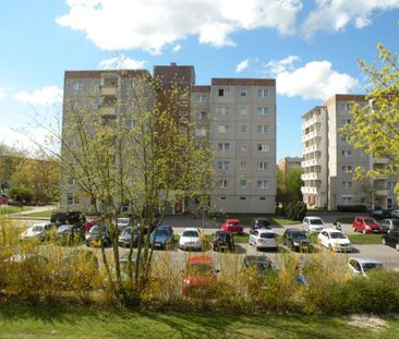 Nachmieter für 1-Raumwohnung gesucht! - Foto 1