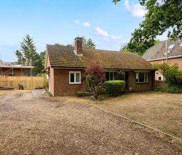3 bedroom detached bungalow to rent - Photo 6