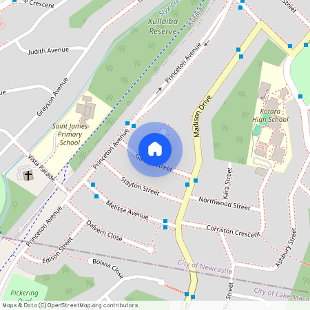 12 Galena Street, NSW 2289, Adamstown Heights