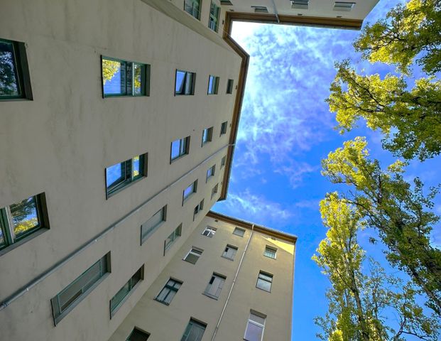 Sanierte und moderne Altbauwohnung mit Wohlfühlgarantie! - Photo 1