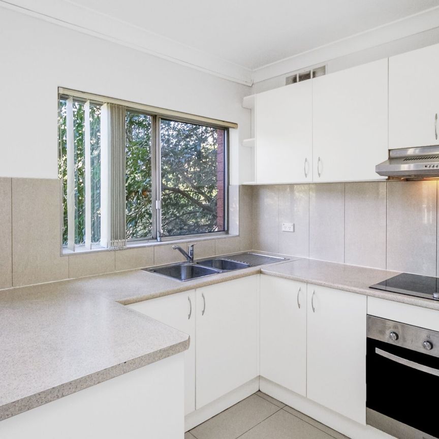 5/66 Meehan Street, - Photo 1