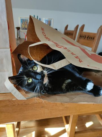 Köpmannagatan, Hjärup - Photo 5