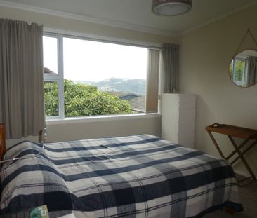 Sunny Unit - Photo 1