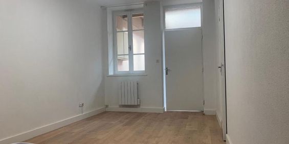 Location Appartement 1 pièce 22m² MACON 71000 - Photo 3