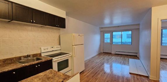 1 CH - 1 SDB - Montréal - $1,000 /mo - Photo 2