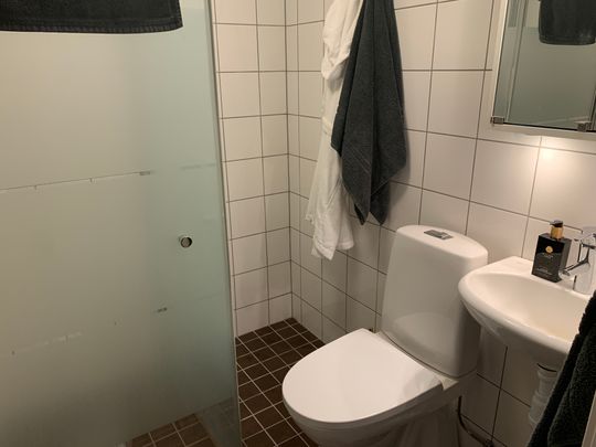 Mellersta Stenbocksgatan 19B, Helsingborg - Photo 1