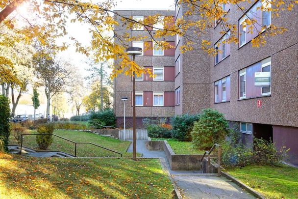 Demnächst frei! 3-Zimmer-Wohnung in Dortmund - Photo 1